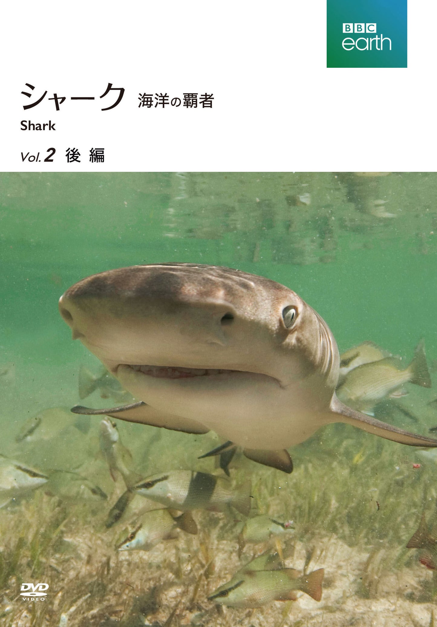 1069450