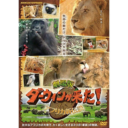 1067045