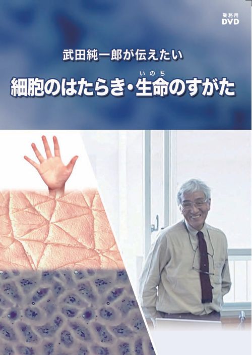 1077384