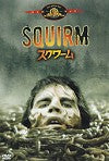 4049331