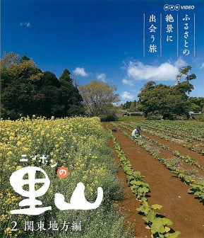 6002036