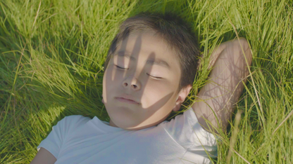 郷〔上映権付〕